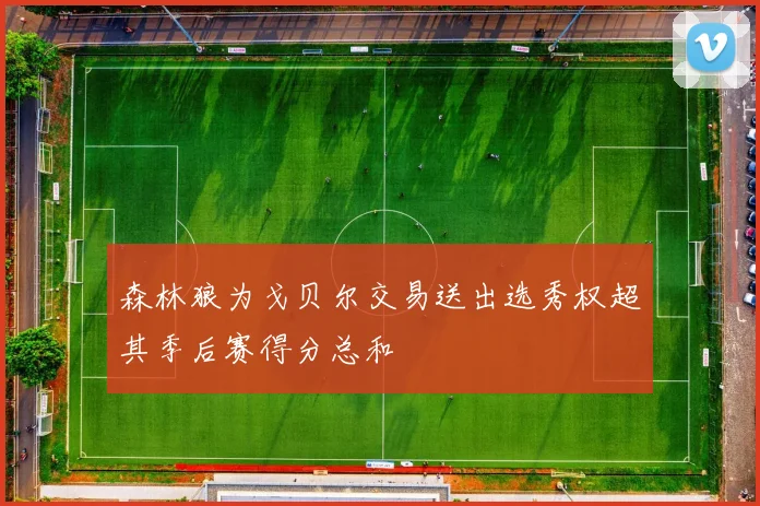 森林狼为戈贝尔交易送出选秀权超其季后赛得分总和